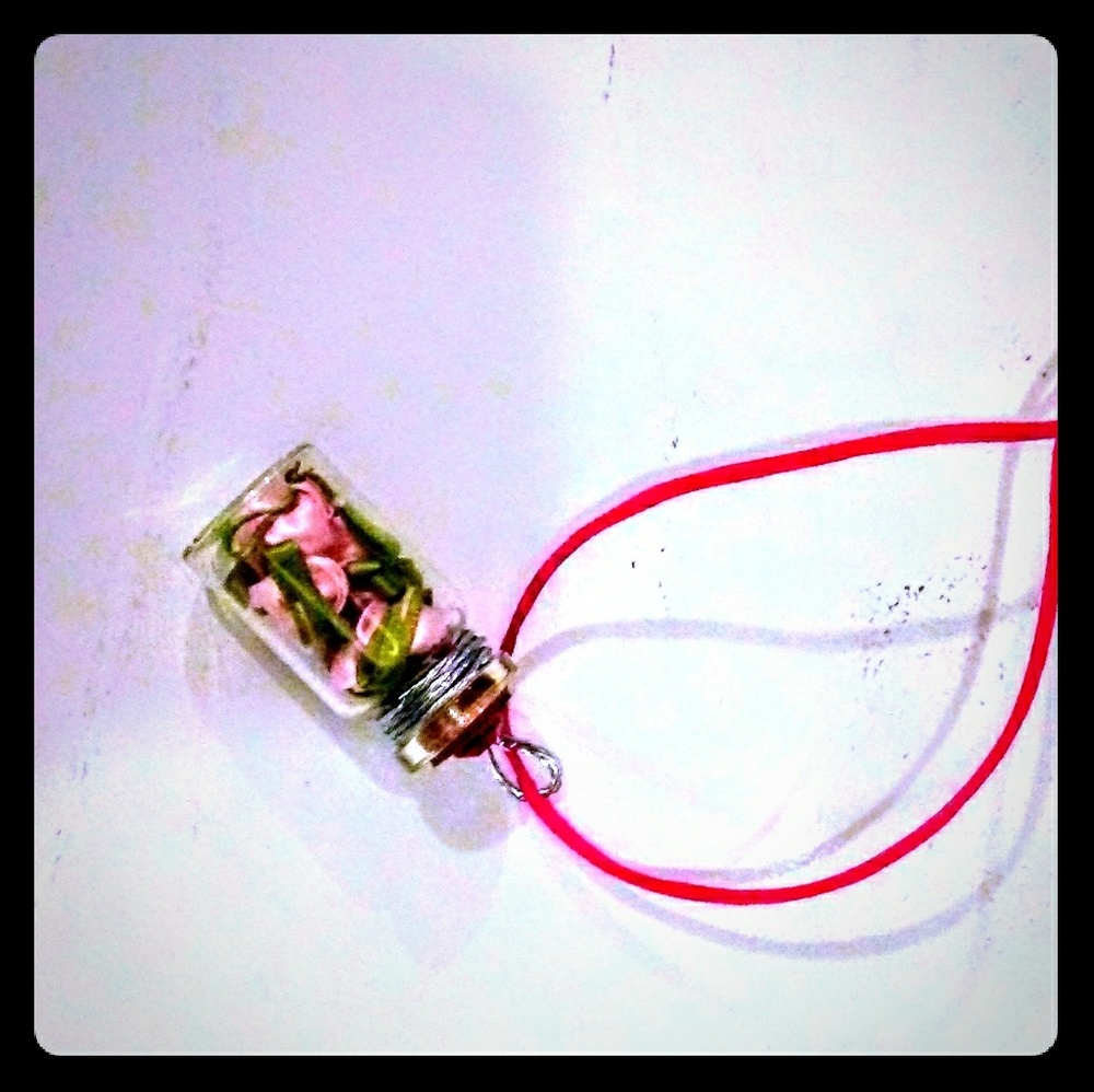 (Gift)NWT Pink rosebud corked-jar pendant necklace